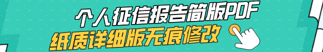 个人征信报告简版PDF、纸质详细版无痕修改 联系微信：aax7388
