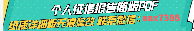 个人征信报告简版PDF、纸质详细版无痕修改 联系微信：aax7388