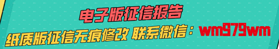 个人征信报告pdf无痕修改--微信:wm979wm