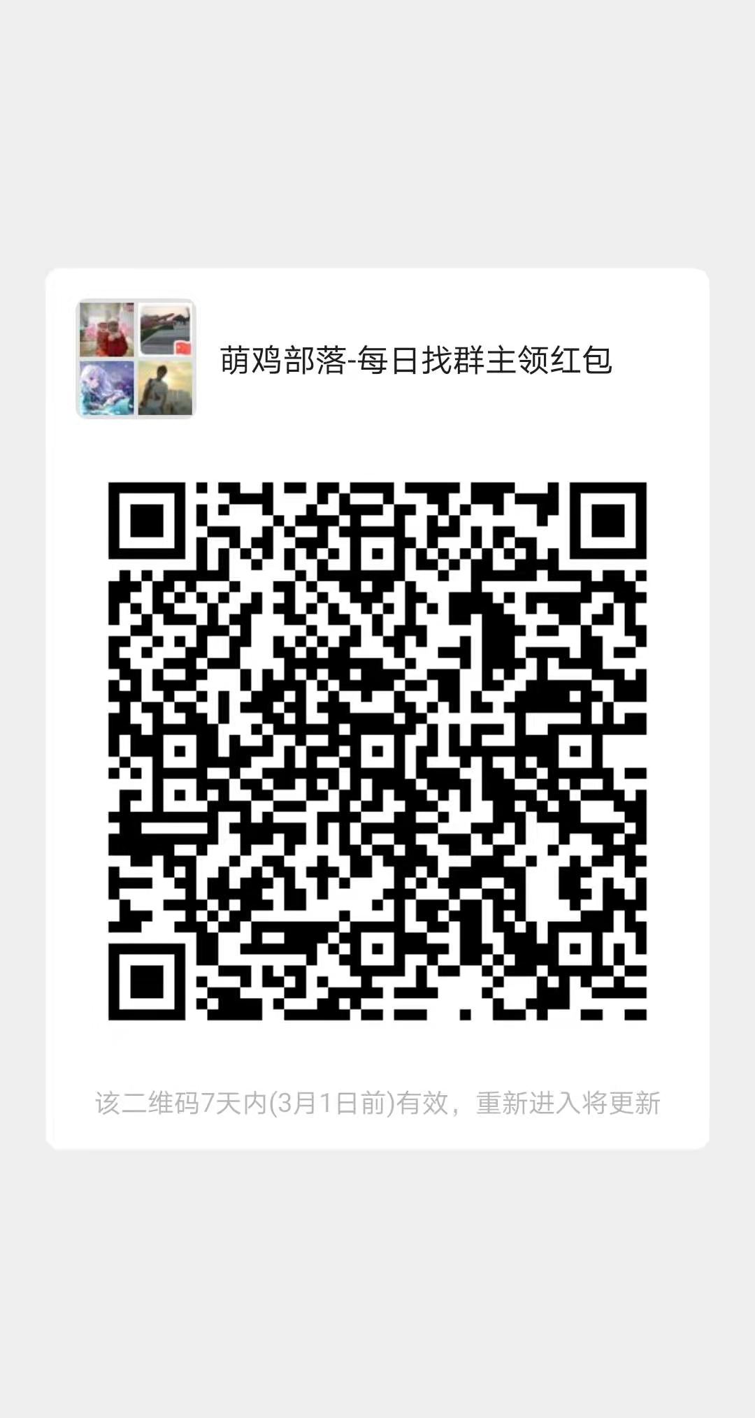 萌鸡群