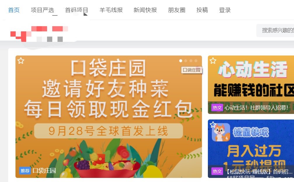 首码项目网 - 网上创业赚钱小项目发布平台