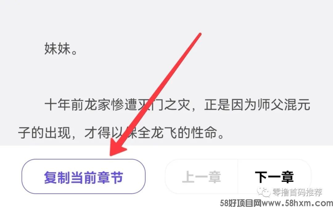 复制当前章节.jpg