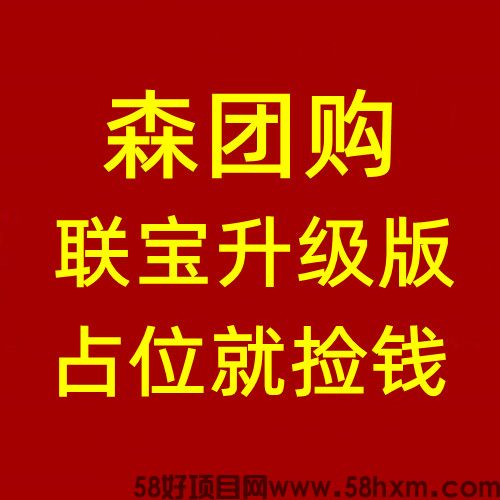 森团购，联宝升级版，公排二二复制滑落模式，实体公司支持考察，抢占先机