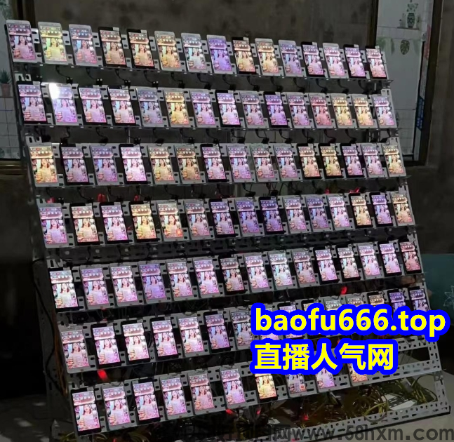 抖音直播人气挂铁快手点赞挂假人小红书视频号有效粉丝黑科技网站