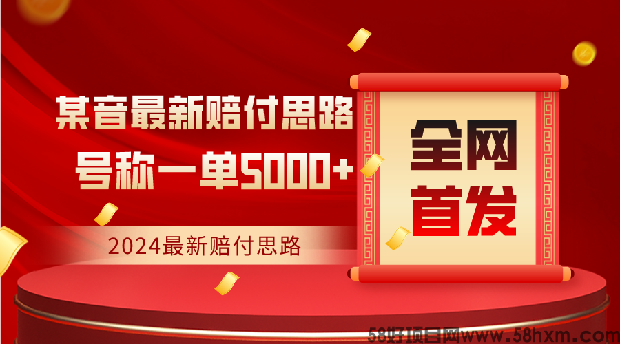 全网首发，2024最新某音赔付思路，号称一单收益5000+