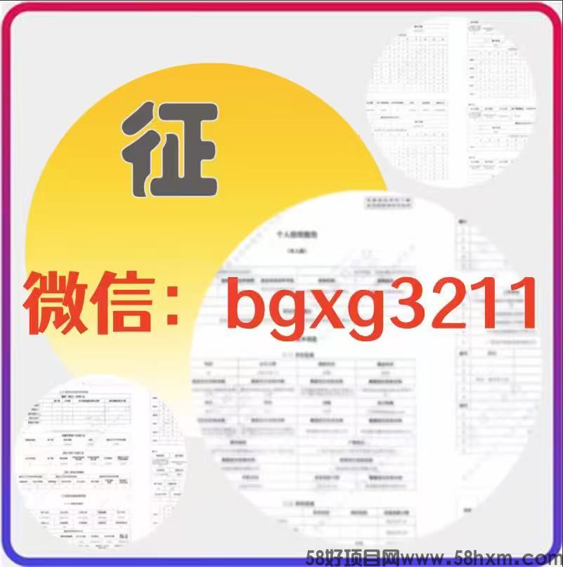 入职征信报告修改全攻略纸质版电子版PDF
