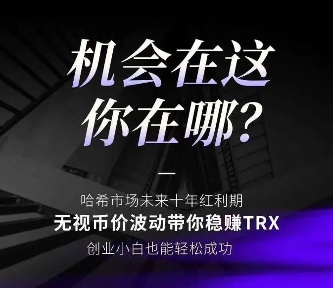哈希平台推荐：S9、V8、V6、V5、V2、VS、VS2、G6哈希高返佣平台，附挂机软件！