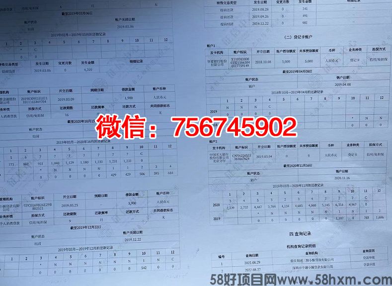 新版单位征信报告无痕修改-电子版PDF-纸质版打印